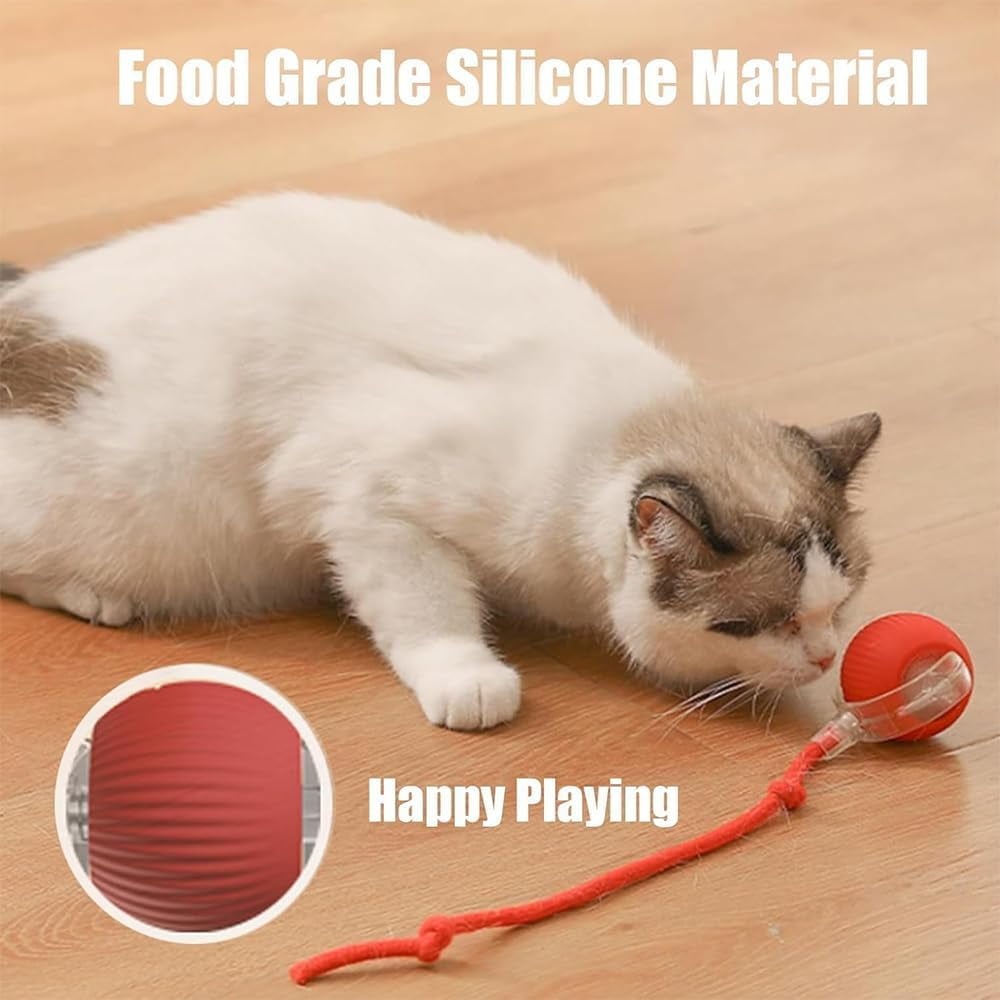 Speedy Tail 2.0: The Ultimate Interactive Rolling Ball Toy for Cats and Small Dogs - Keep Your Pets Engaged and Active!