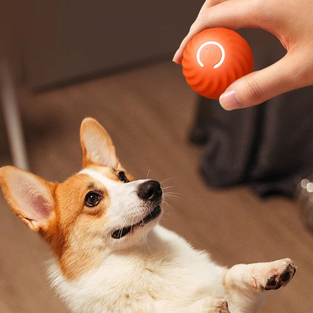 Interactive Smart Dog Toy Ball - Automatic Moving & Bouncing Pet Toy for Dogs and Cats - Perfect Birthday Gift for Your Furry Friends!