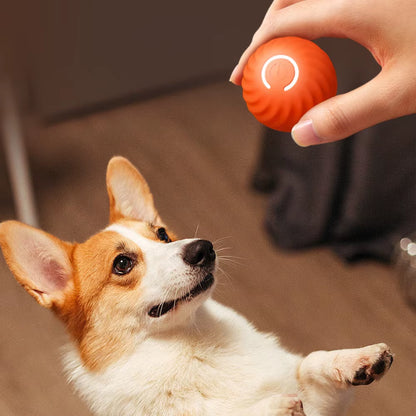 Interactive Smart Dog Toy Ball - Automatic Moving & Bouncing Pet Toy for Dogs and Cats - Perfect Birthday Gift for Your Furry Friends!