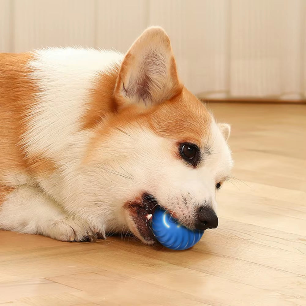 Interactive Smart Dog Toy Ball - Automatic Moving & Bouncing Pet Toy for Dogs and Cats - Perfect Birthday Gift for Your Furry Friends!