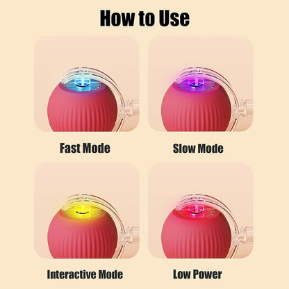 Speedy Tail 2.0: The Ultimate Interactive Rolling Ball Toy for Cats and Small Dogs - Keep Your Pets Engaged and Active!
