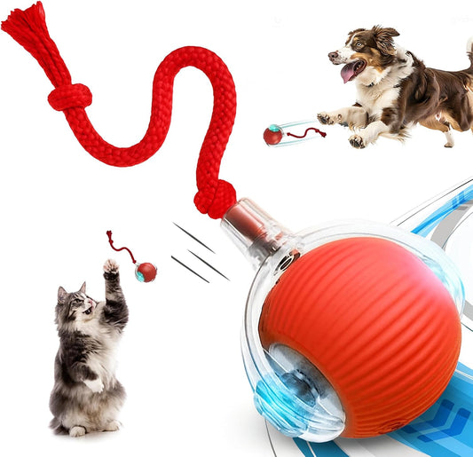 Speedy Tail 2.0: The Ultimate Interactive Rolling Ball Toy for Cats and Small Dogs - Keep Your Pets Engaged and Active!