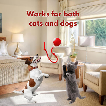 Speedy Tail 2.0: The Ultimate Interactive Rolling Ball Toy for Cats and Small Dogs - Keep Your Pets Engaged and Active!