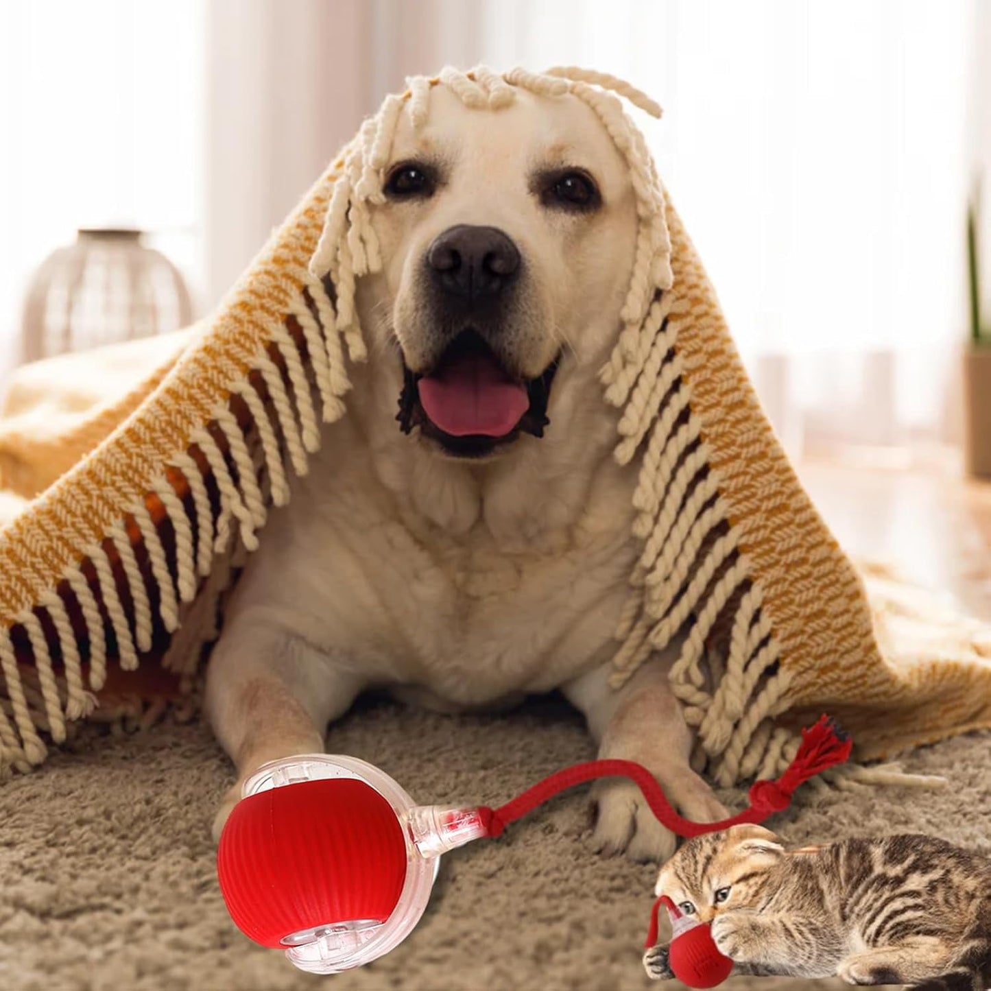 Speedy Tail 2.0: The Ultimate Interactive Rolling Ball Toy for Cats and Small Dogs - Keep Your Pets Engaged and Active!