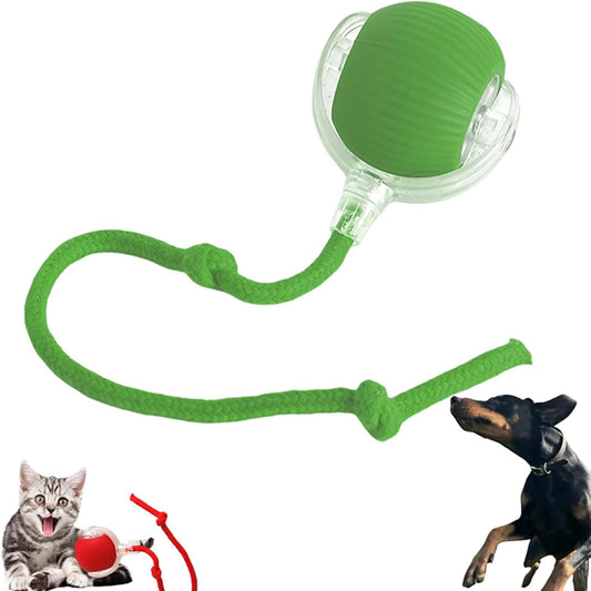 Speedy Tail 2.0: The Ultimate Interactive Rolling Ball Toy for Cats and Small Dogs - Keep Your Pets Engaged and Active!