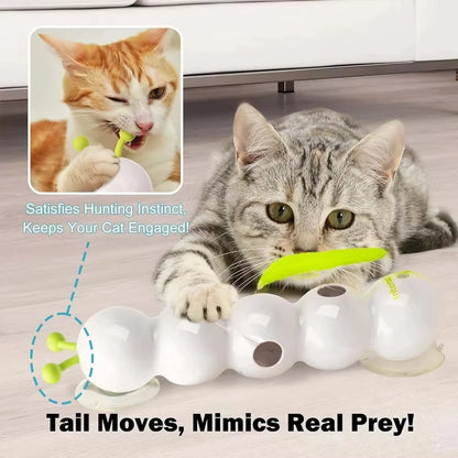 Exciting Caterpillar Interactive Cat Toy - Motion Activated Wack a Worm for Endless Fun!