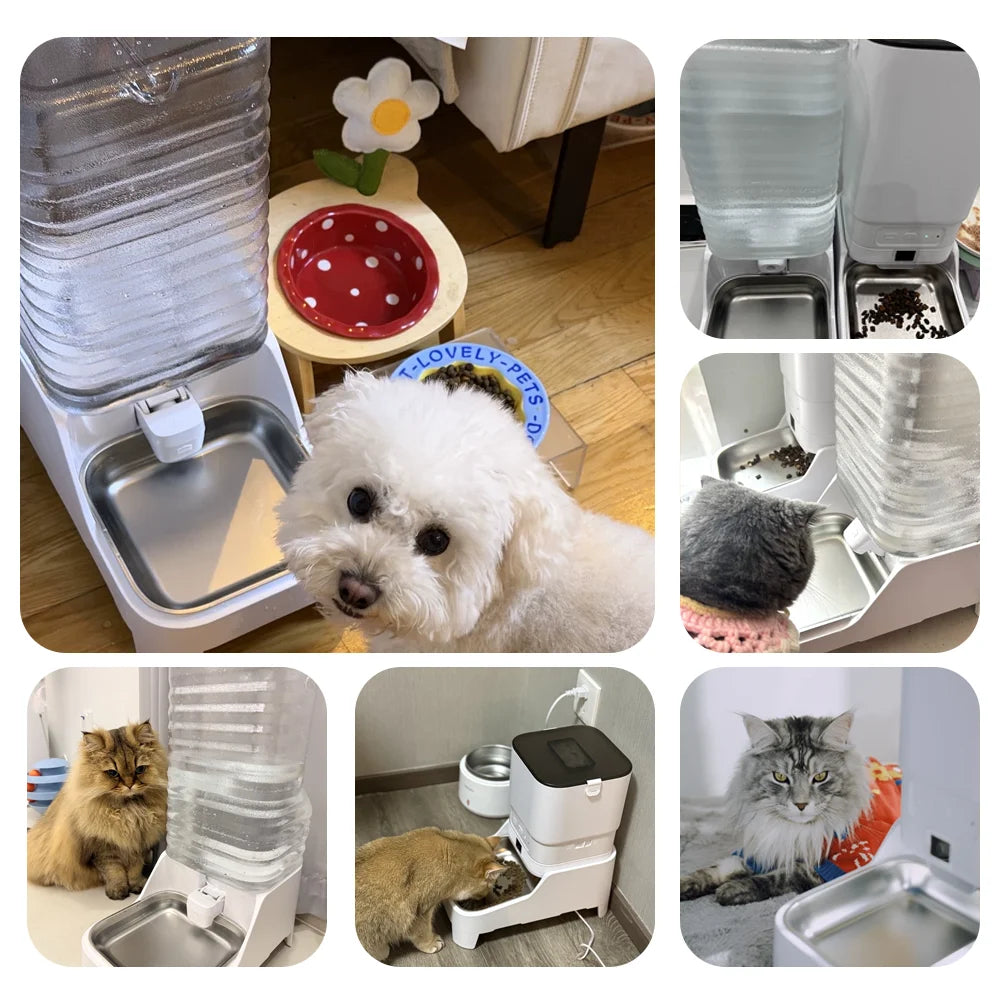 Revolutionary Smart Cat Feeder with 15CM Elevated Camera - Tuya App Control for Effortless Feeding and Monitoring